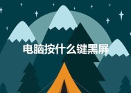 电脑黑屏怎么办（解决电脑黑屏问题的有效技巧与建议）