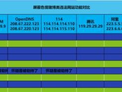 探究国内最快的DNS服务（提升上网速度的利器——快速解析域名系统（DNS）