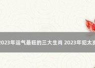 《斗战神龙女2024年技能加点图全解析》（龙女技能加点图及技能效果详细解读）