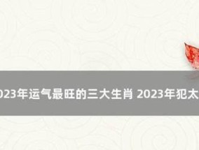 《斗战神龙女2024年技能加点图全解析》（龙女技能加点图及技能效果详细解读）