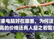 苹果笔记本型号配置表详解（全面了解苹果笔记本的配置信息及特点）