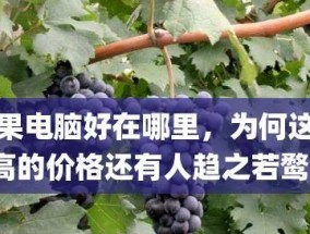 苹果笔记本型号配置表详解（全面了解苹果笔记本的配置信息及特点）