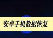 如何使用SD卡删除的视频恢复方法（一步步教你恢复误删的视频文件）