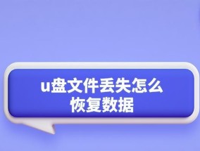 解决无法删除U盘文件的问题（探索U盘文件无法删除的原因与解决方法）