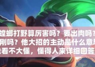 lol打野技巧和意识搭配？如何提升游戏中的表现？