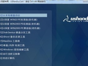 如何使用U盘WinPE启动盘进行系统维护和故障排查（简单易懂的操作指南）