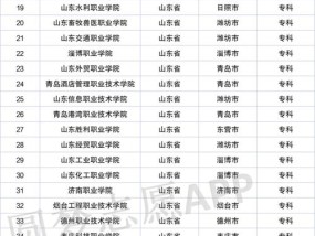 上海公办大专学校一览（探索上海公办大专学校的丰富选择）