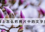 通过照片提取文字的方法（数字化时代的便捷利器）