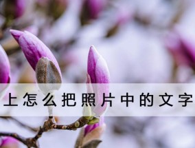 通过照片提取文字的方法（数字化时代的便捷利器）