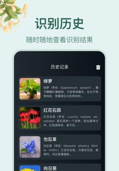 选择最适合的编程语言进行App开发（比较各种编程语言在App开发中的优劣势）  第1张