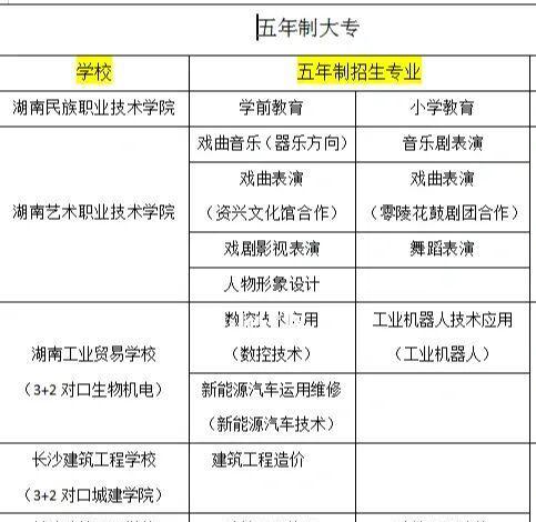 湖南长沙职业技术学院排名榜及其影响力分析（湖南长沙职业技术学院在全国职业院校中的地位与实力）  第2张