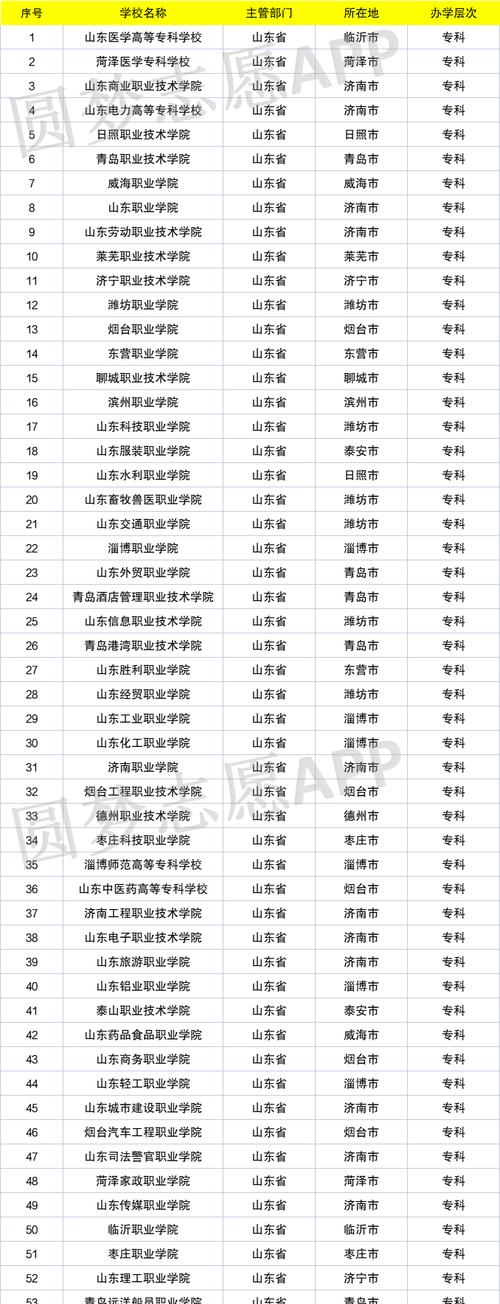 上海公办大专学校一览（探索上海公办大专学校的丰富选择）  第1张