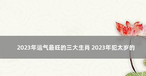 《斗战神龙女2024年技能加点图全解析》（龙女技能加点图及技能效果详细解读）  第1张